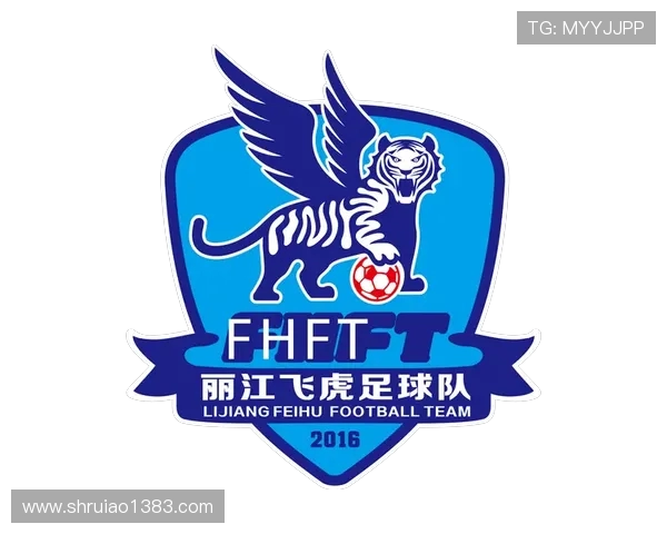 丽江飞虎与深圳队的精彩对决结果揭晓赛事回顾与分析