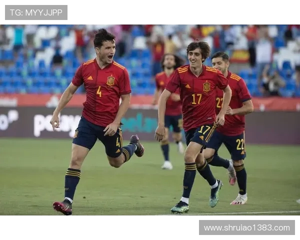 北爱尔兰与荷兰足球对决结果揭晓精彩瞬间回顾